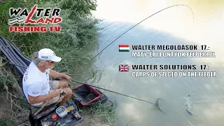 EPISODE 17: Maty-éri pontyok feederrel - Carps of Szeged, Maty-ér on the feeder