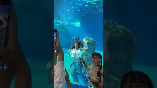 Real life Mermaid in Taiwan