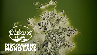 Lee Vining: Mono Lake Tufas | Exploring California with Bartell's Backroads
