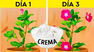 Trucos geniales para plantar y fertilizante casero para que tu jardín florezca rápidamente