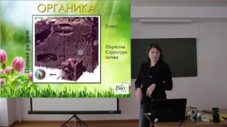 Как накормить садовые культуры: органика, компост, теплые грядки