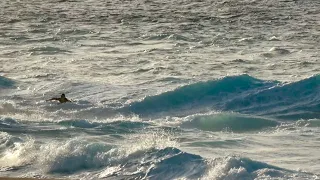 THE FLASH RIP CURRENTS CAUSED BY A RISING LONG PERIOD SWELL IN HAWAII