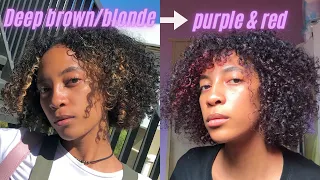 "Split" Dyeing my Curly Hair Without Bleach | Inecto Ruby Red & Passion Plum