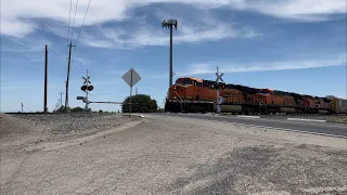 [4K 60FPS HDR] Amtrak, BNSF, and UP Weekend Railfanning Action in Lodi and Stockton, CA