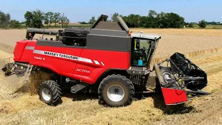 Massey Ferguson Activa S 7345 | AGRI PARO