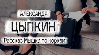 Александр Цыпкин рассказ "Мышки по норкам" Читает Андрей Лукашенко