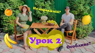 Урок 2 | Створення людини | #Біблійні уроки | King's Kids Діти Царя