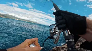 Shore Jigging Konavle ( When fish are active for 15 minutes )