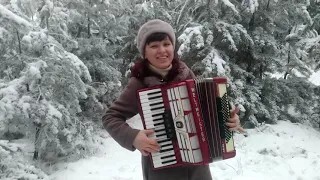 Зимнее Попурри в лесу на аккордеоне!