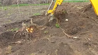 La scos de buturugi cu excavatorul