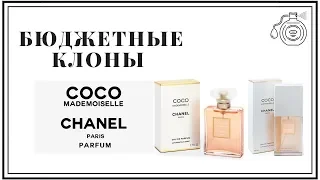 Бюджетные Клоны Аромата Chanel Coco Mademoiselle