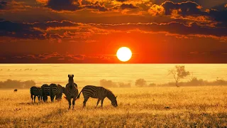 Aaj javani 🥺per itrane wale ek 🥺 din Dhokha khaega dhalta Suraj dheere dheere dhalta hi rah ..qawali