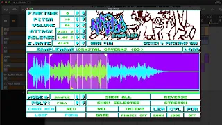 An Amiga sampler...for your DAW