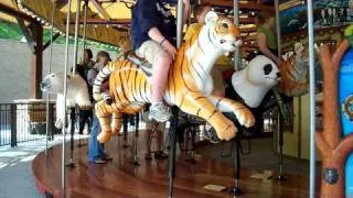 Zoo: Merry Go-round