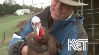 Bourbon Red Turkeys | Kentucky Life | KET