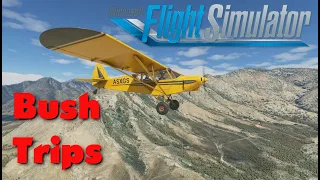 FS2020 | Nevada Bush Trip | Leg 1 | Breckenridge to Inyokern