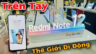 Trên Tay XIAOMI REDMI NOTE 12 tại THẾ GIỚI DI ĐỘNG