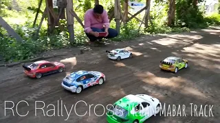 Tamiya XV-01, TT02 RC Rally Cross