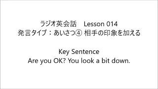 ラジオ英会話　Lesson 014 2023/4/20