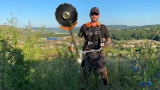 Cutting some bushes with Stihl Fs 561-C with Stihl 250-26 Woodcut circular saw blade.