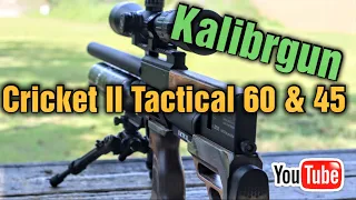 Airgun Showdown: Kalibrgun Cricket 2 Tactical 60 vs. 45 | Clash of the Titans! | Admist Two Crickets