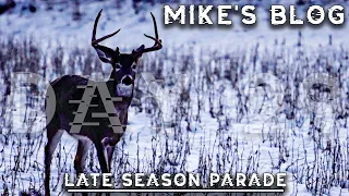 Finally Able To Hunt The Back Plot, Late Season Deer Parade | Mike's Blog