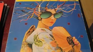 Vinyl Collection - Electronic - Part 4 - Experimental/Avant-garde/Psych/Ambient/Synth-Pop