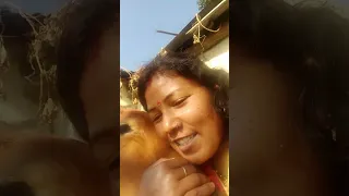 meri gaiyo ko dekho kitna pyar kar rhi h...