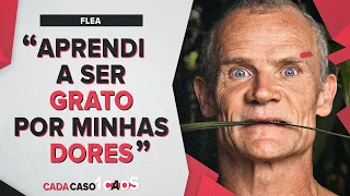 FLEA do RED HOT CHILI PEPPERS - CC1C