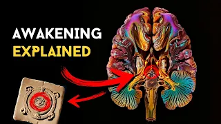 Science CONFIRMS Pineal Gland MYTH - Your Third Eye Is NOT What You THINK - Awakening SECRET Exposed