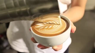 Latte Art - ROSETTA 12oz