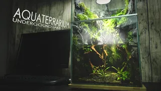 RainForest Underground Lake Waterfall Amazing Paludarium l stepbystep l No filter,No co2