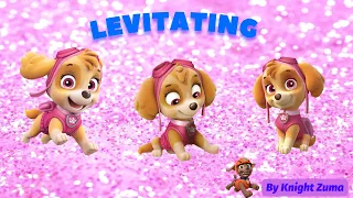 Paw Patrol Skye edit // Levitating