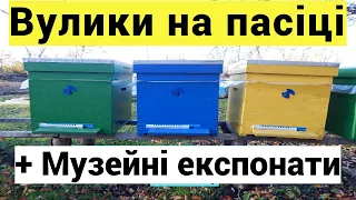 Мої вулики! Система вуликів, автора канала Життя пасічника! Які я утримую вулики у себе на пасіці.