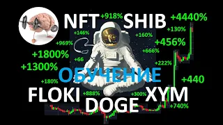 Сверх прибыль при работе на памп монетах  NFT   DOGE   SHIB   FLOKI   XYM