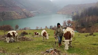 Soğuk bir kış gününde mutlu bir yaşam🌨️🌦️Köyde yaşam❄️A happy life in the village#köyhayatı