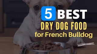 ⭕ Top 5 Best Dry Dog Food for French Bulldogs 2024 [Review and Guide]