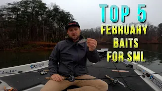 TOP 5 BAITS FOR FEBRUARY ON SML!!!!