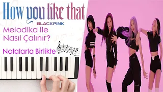 Blackpink - How You Like That Melodica Cover(Tutorial)