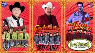 Los Huracanes del Norte, Los Tucanes de Tijuana, Los Tigres del Norte, Cardenales De Nuevo Leon