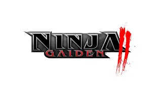 Ninja Gaiden 2 OST - 45 The Hero Extended