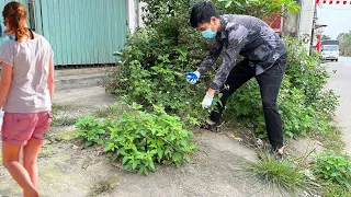 Clean with rudimentary tools Front yard of the House  Cut the overgrown grass Transform Girl helped