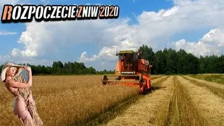 🔥Żniwa 2020 Rozpoczęte🌾Kosimy pszenice ozimą🌾Dronningborg D3000