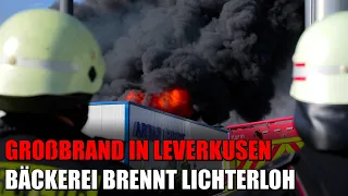 GROSSBRAND IN LEVERKUSEN: Brand außer Kontrolle - Großbäckerei lichterloh in Flammen | 13.08.2023
