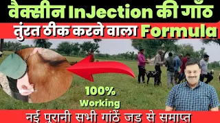 बकरी के Vaccine इंजेक्शन की गांठ का इलाज  Goat Care