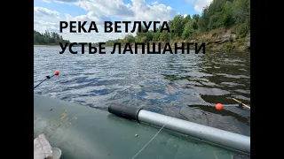 Клёв осеннего леща на кольцо.Рвет поводки,разгибает крючки. р.Ветлуга.