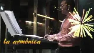 El chico de la armónica (The Mouth Organ Boy) GAUDYA [live. Directo]