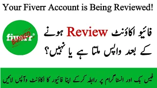 Your Fiverr account is being reviewed | Recover temporary restricted Fiverr account in 2023