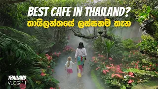 Most Beautiful Cafes in Chiang Rai | Lalitta Cafe | Akha Farmville