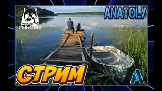 Русская рыбалка 4 😎 Осетровый стрим 😎Розыгрыши каждые 10 лайков►Russian Fishing 4